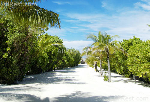 Full Moon Maldives 18